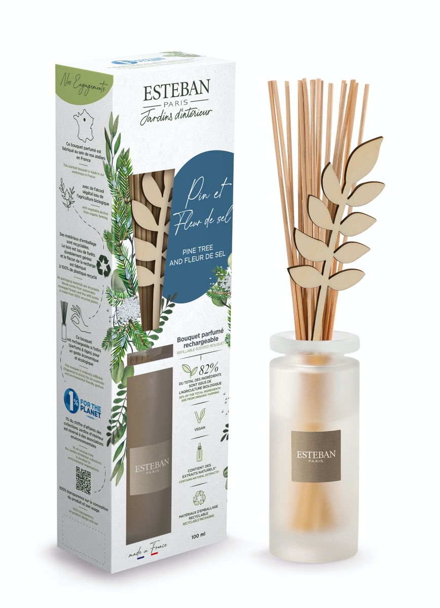 Esteban Paris Parfums NATURE – PINE TREE AND FLEUR DE SEL TYČINKOVÝ DIFUZÉR 100 ml 100 ml