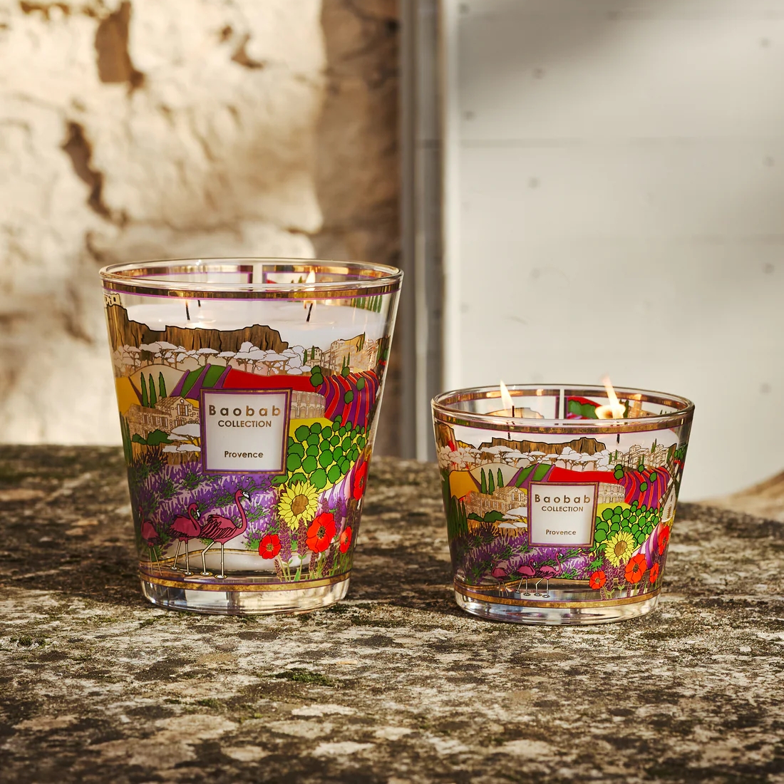 Baobab Collection Provence