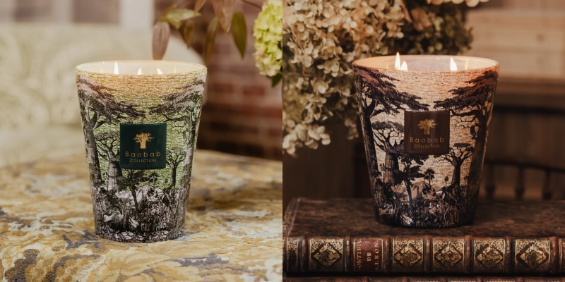 Baobab Collection Sacred Trees