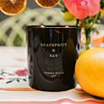 CERERIA MOLLA - Premium - svíčka - Grapefruit & Bay - 230g - černá