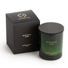 CERERIA MOLLA - Christmas edition - svíčka - Mountain pine - 230g