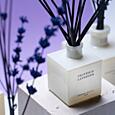 Cereria Mollá BOUTIQUE CREMA – PROVENCE LAVENDER STÄBCHENDIFFUSER 100 ml