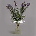 CERERIA MOLLA - Premium -  difuzér - Provence Lavender - 100 ml - krémová