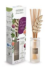 product ESTEBAN - DIFUZÉR 100 ML - NATURE - garrigue fig tree 