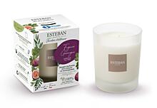 product ESTEBAN - SVÍČKA 180 G - NATURE - garrigue fig tree 