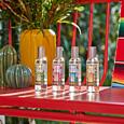 ESTEBAN - INTERIÉROVÝ SPREJ 100ML - MEXICO - lemongrass & mint