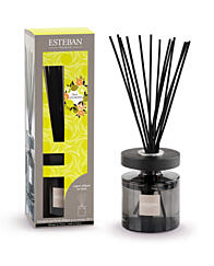 Esteban Paris Parfums CLASSIC – TERRE D`ARGUMES TYČINKOVÝ DIFUZÉR 150 ml