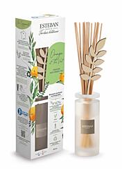 Esteban Paris Parfums NATURE – ORANGE AND GREEN TEA TYČINKOVÝ DIFUZÉR 100 ml