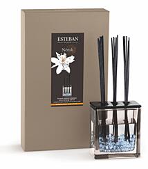 Esteban Paris Parfums CLASSIC – NEROLI STÄBCHENDIFFUSER 250 ml