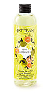 Esteban Paris Parfums CLASSIC – TERRE D`ARGUMES NÁPLŇ DO DIFUZÉRU 250 ml