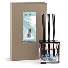 product Esteban Paris Parfums CLASSIC – PUR LIN STÄBCHENDIFFUSER 250 ml 