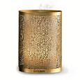 Esteban Paris Parfums OR & LUMIERE ULTRASCHALLDIFFUSER 100 ml