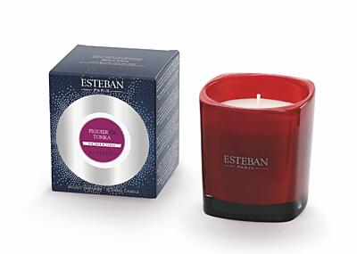Esteban Paris Parfums ELESSENS – FIG TREE & TONKA VONNÁ SVIEČKA  170 g