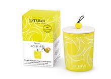 Esteban Paris Parfums CLASSIC – TERRE D`ARGUMES VONNÁ SVIEČKA  170 g
