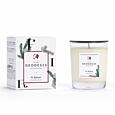 GEODESIS - SVÍČKA 180 G - UNIVERSALS - balsam fir NEW