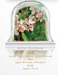 Tartalék töltelék Chando aroma diffúzorba 100 ml - Apple Blossom