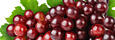 Aróma difuzér 250ml, NATURAL, Millefiori, Grape Cassis