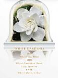 Náhradná náplň do aróma difuzéru Chando 100 ml - White Gardenia