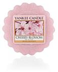 Cherry blossom - vonný vosk YANKEE CANDLE