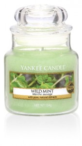 Svíčka ve skle malá, Yankee Candle, Wild Mint