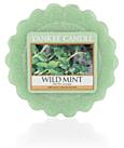 Wild Mint - vonný vosk YANKEE CANDLE
